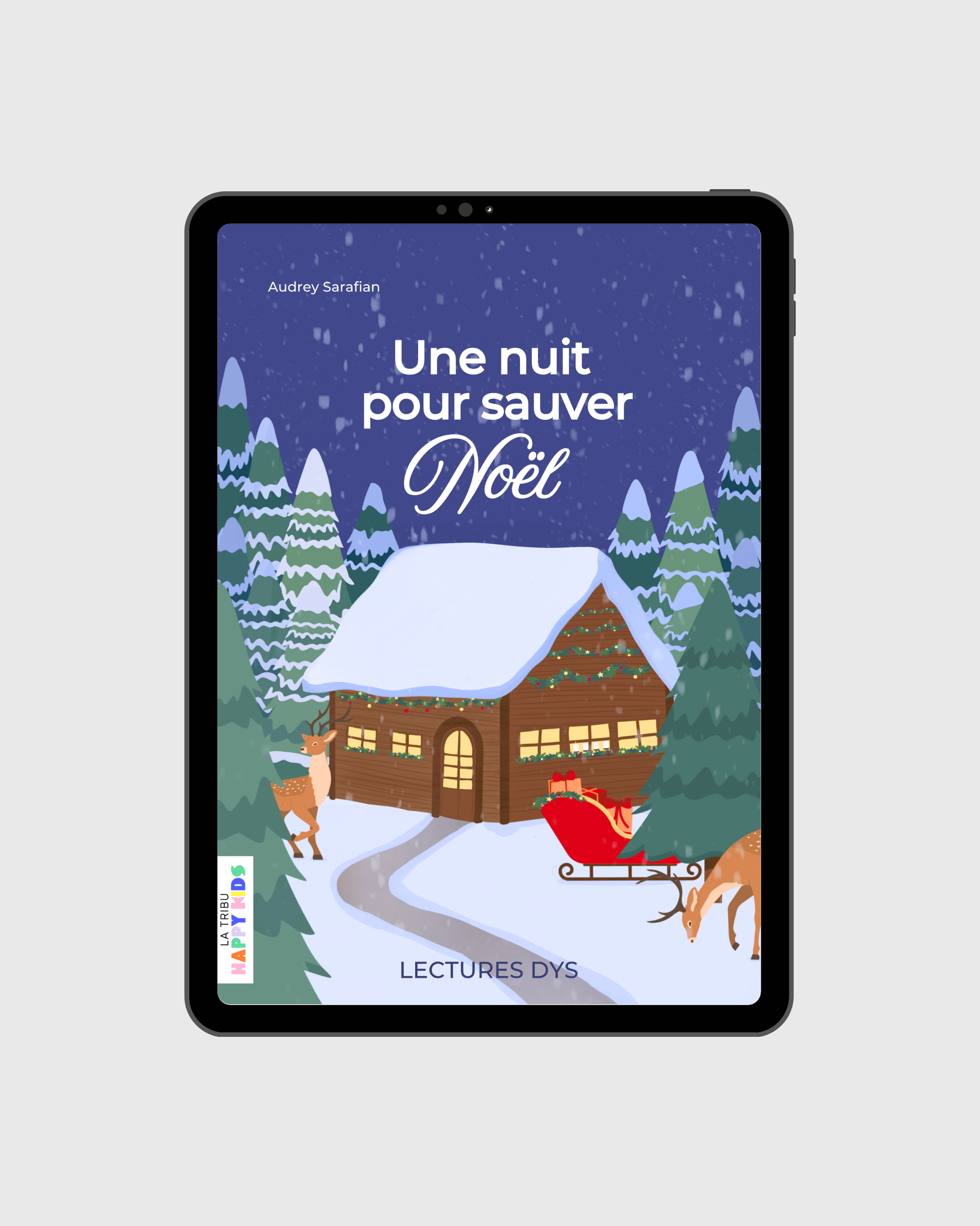 Lectures DYS : Une nuit pour sauver Noël