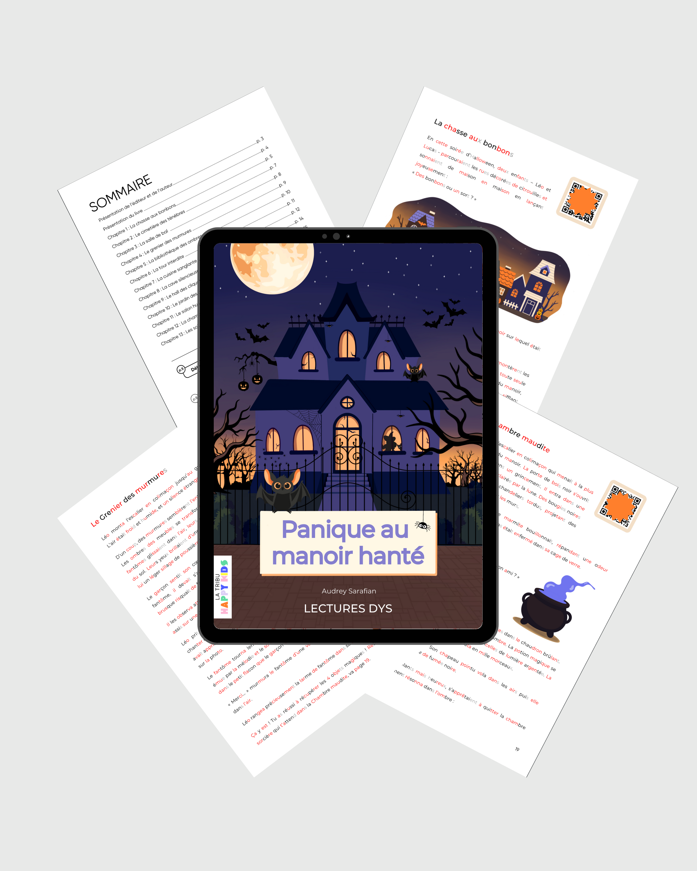 Panique au manoir hanté histoire DYS d&