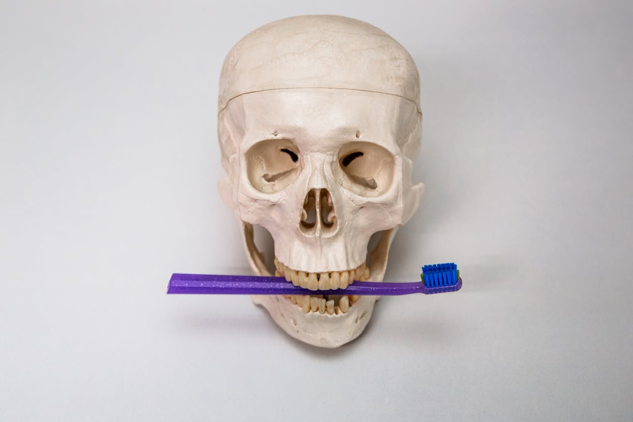 Le brossage des dents des enfants : quels sont les enjeux du débat ?
