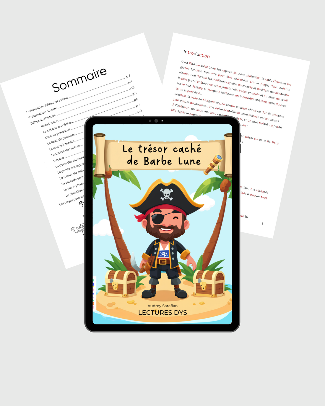 Lectures DYS : Le trésor caché de Barbe-Lune