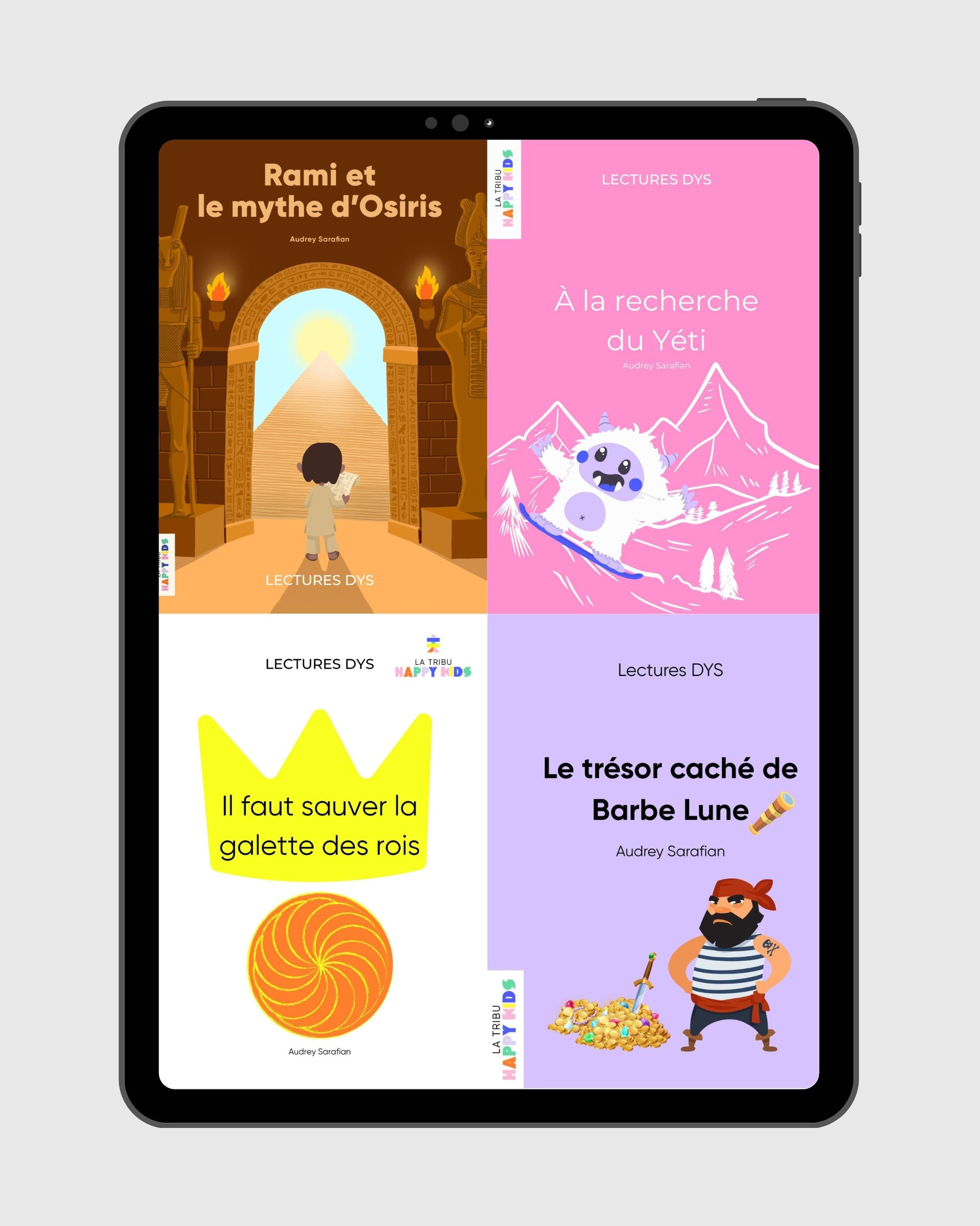 Mes 4 histoires DYS