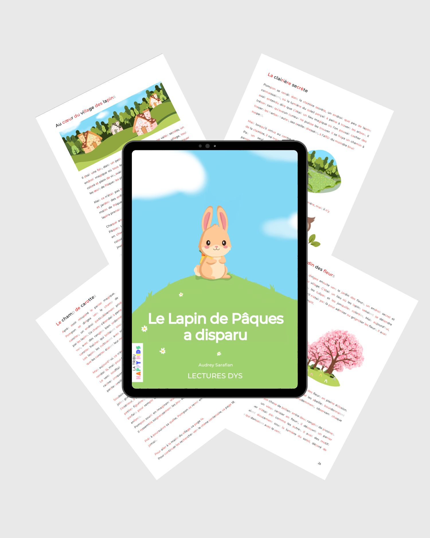 Lectures DYS : Le Lapin de Pâques a disparu